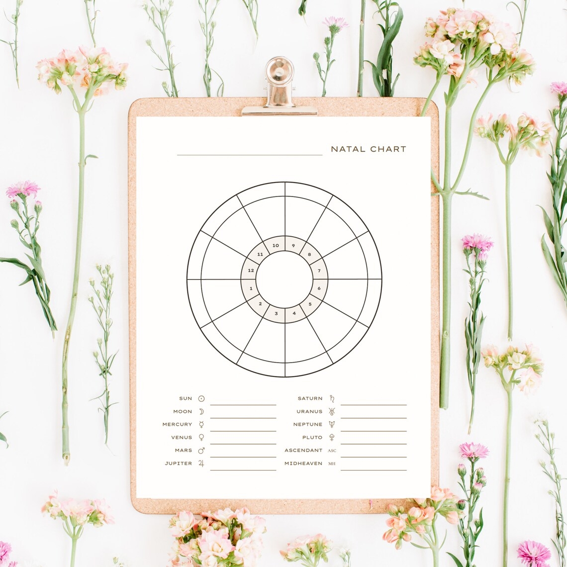 Blank Natal Chart Printable Blank Birth Chart Printable Birth Chart 