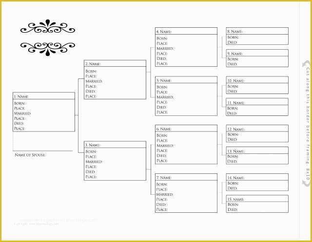 Printable Rabbit Pedigree Blank