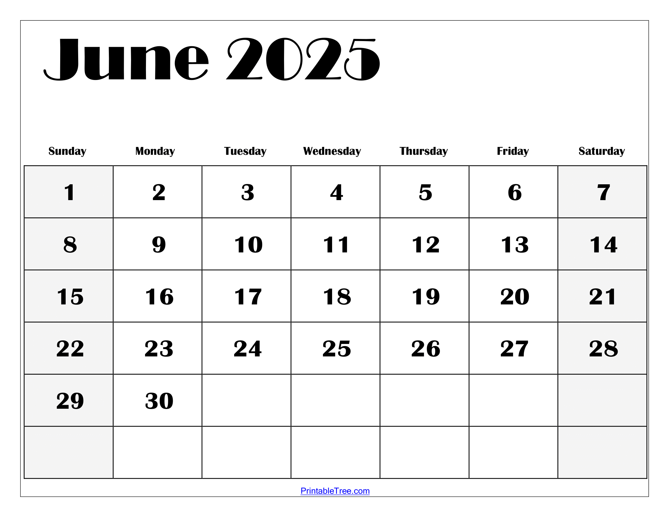 Printable Blank June 2025 Calendar