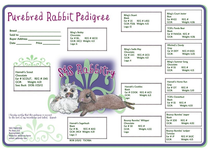 Free Printable Rabbit Pedigree Forms Kawevqdia