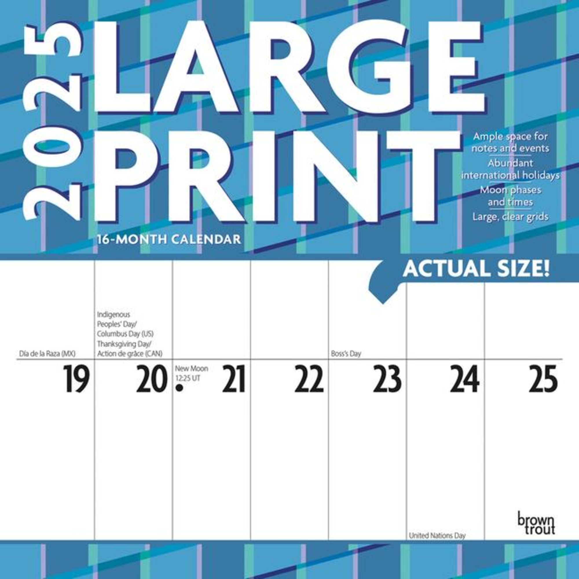 Large Print 2025 12 X 24 Inch Monthly Square Wall Calendar Matte Paper Plastic Free Kaufen