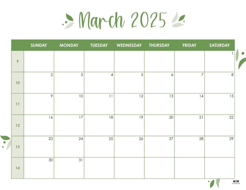 Printable Blank March 2025 Calendar