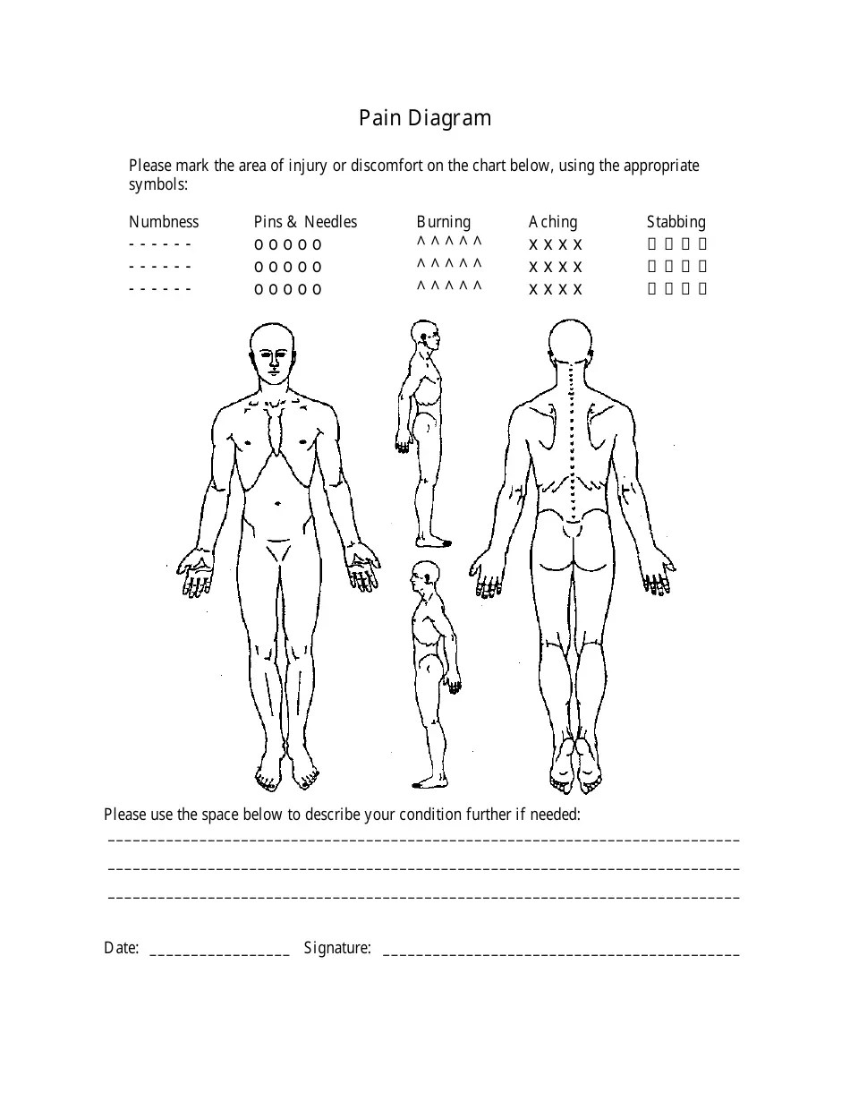 Printable Blank Body Chart Printable Word Searches