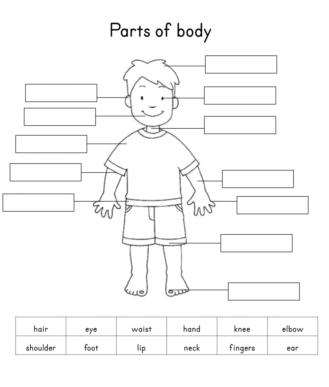 Printable Blank Body Chart