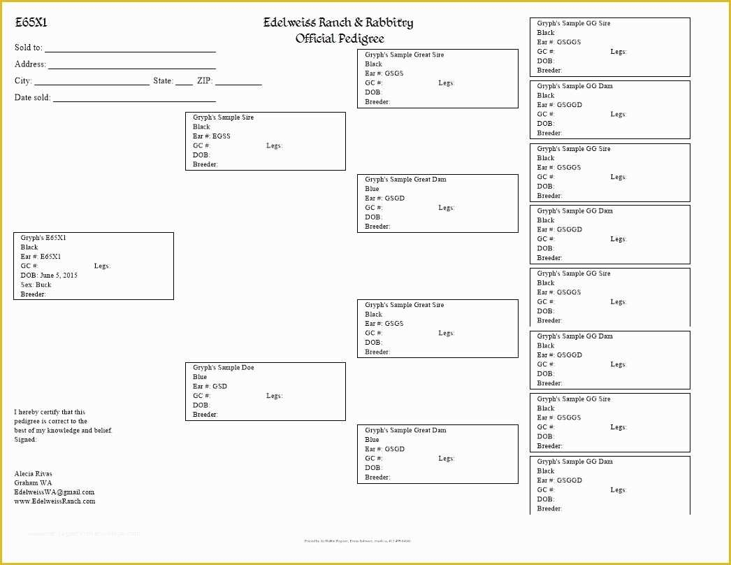 Printable Rabbit Pedigree Forms Printable Forms Free Online