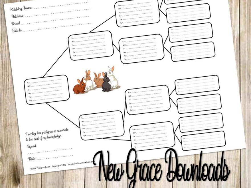 Printable Rabbit Pedigree Template Free Printable